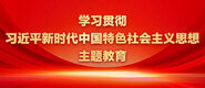 啊啊啊不要操我视频6学习贯彻习近平新时代中国特色社会主义思想主题教育_fororder_ad-371X160(2)